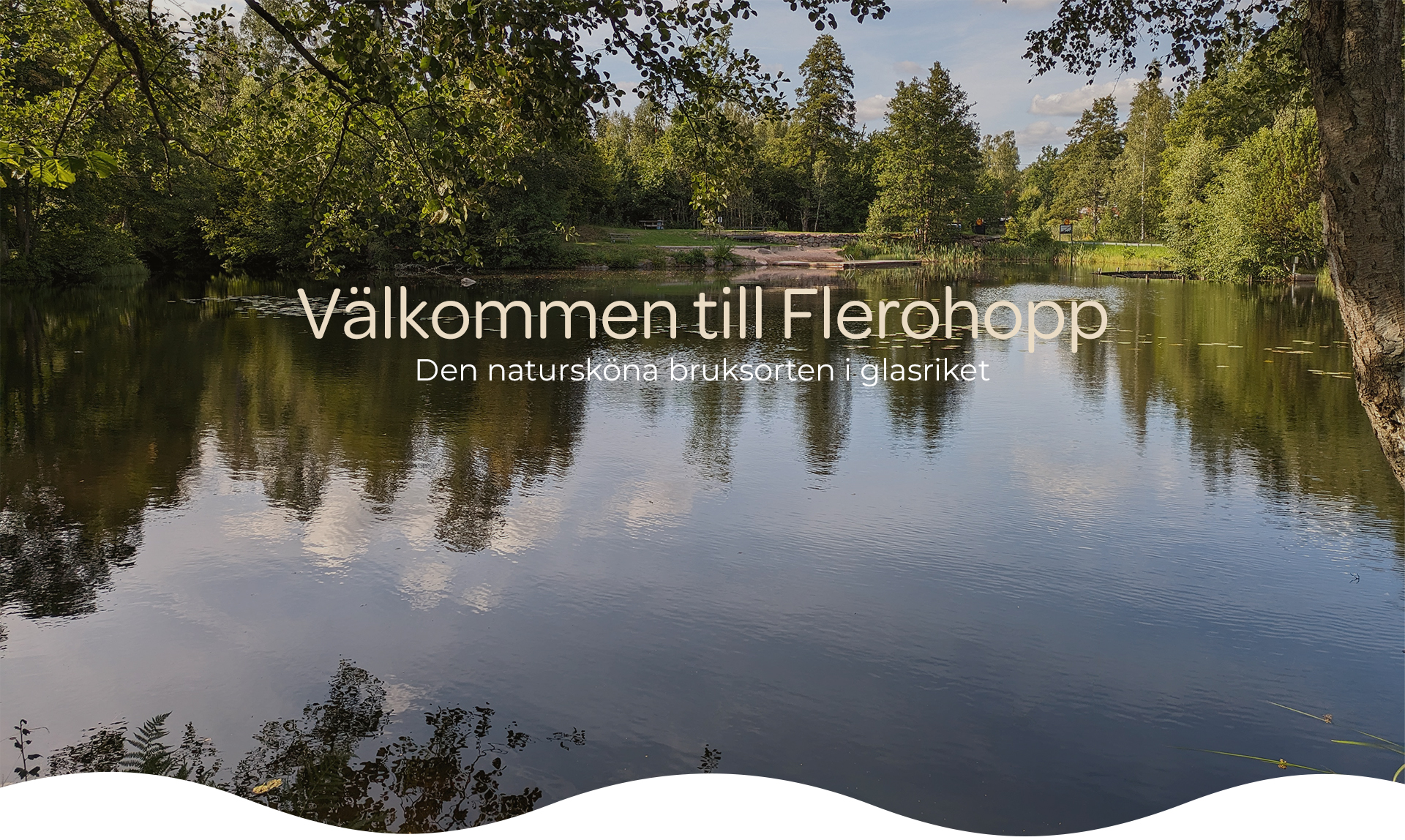 home-page-cover